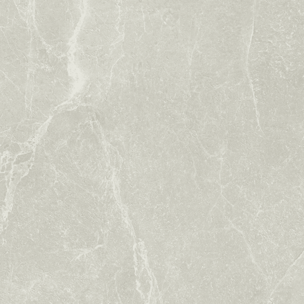 24-NS Marble Look Tile