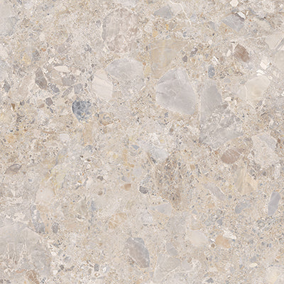46-NR Terrazzo Look Tile