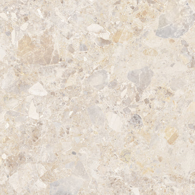 46-NR Terrazzo Look Tile
