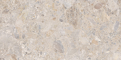 46-NR Terrazzo Look Tile