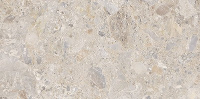 46-NR Terrazzo Look Tile