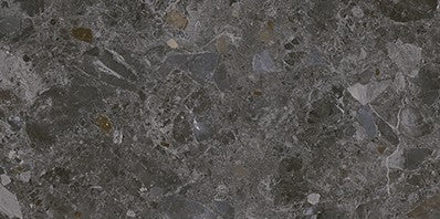 46-NR Terrazzo Look Tile