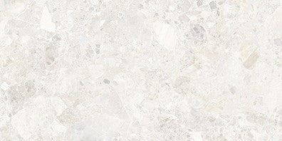 46-NR Terrazzo Look Tile