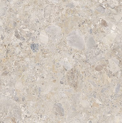 46-NR Terrazzo Look Tile