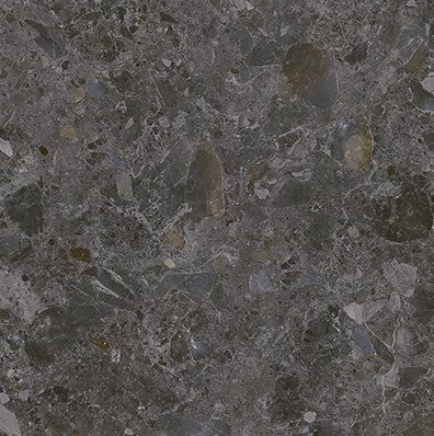 46-NR Terrazzo Look Tile