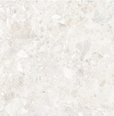 46-NR Terrazzo Look Tile