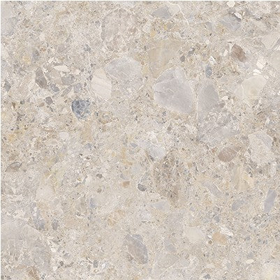 46-NR Terrazzo Look Tile