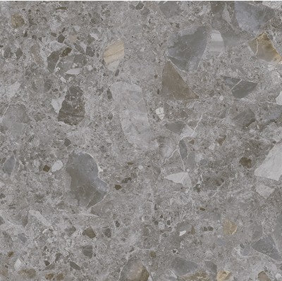46-NR Terrazzo Look Tile