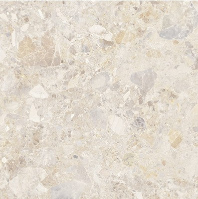 46-NR Terrazzo Look Tile