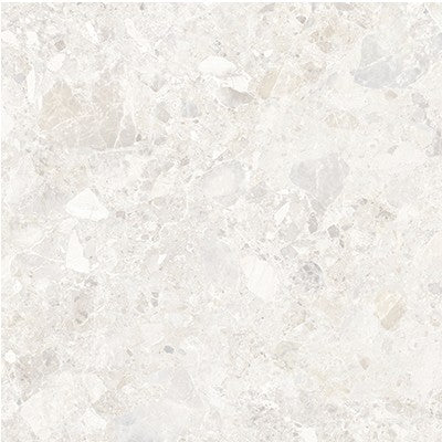46-NR Terrazzo Look Tile