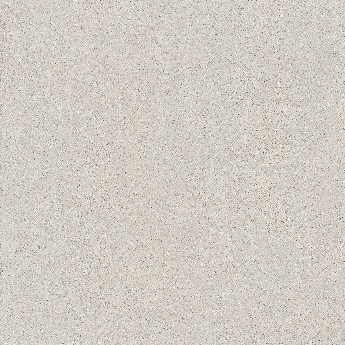 50-PA Terrazzo Look Tile