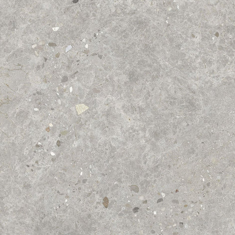 8-DA Terrazzo Look Tile