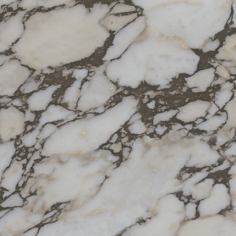 29-CAV Marble Look Tiles