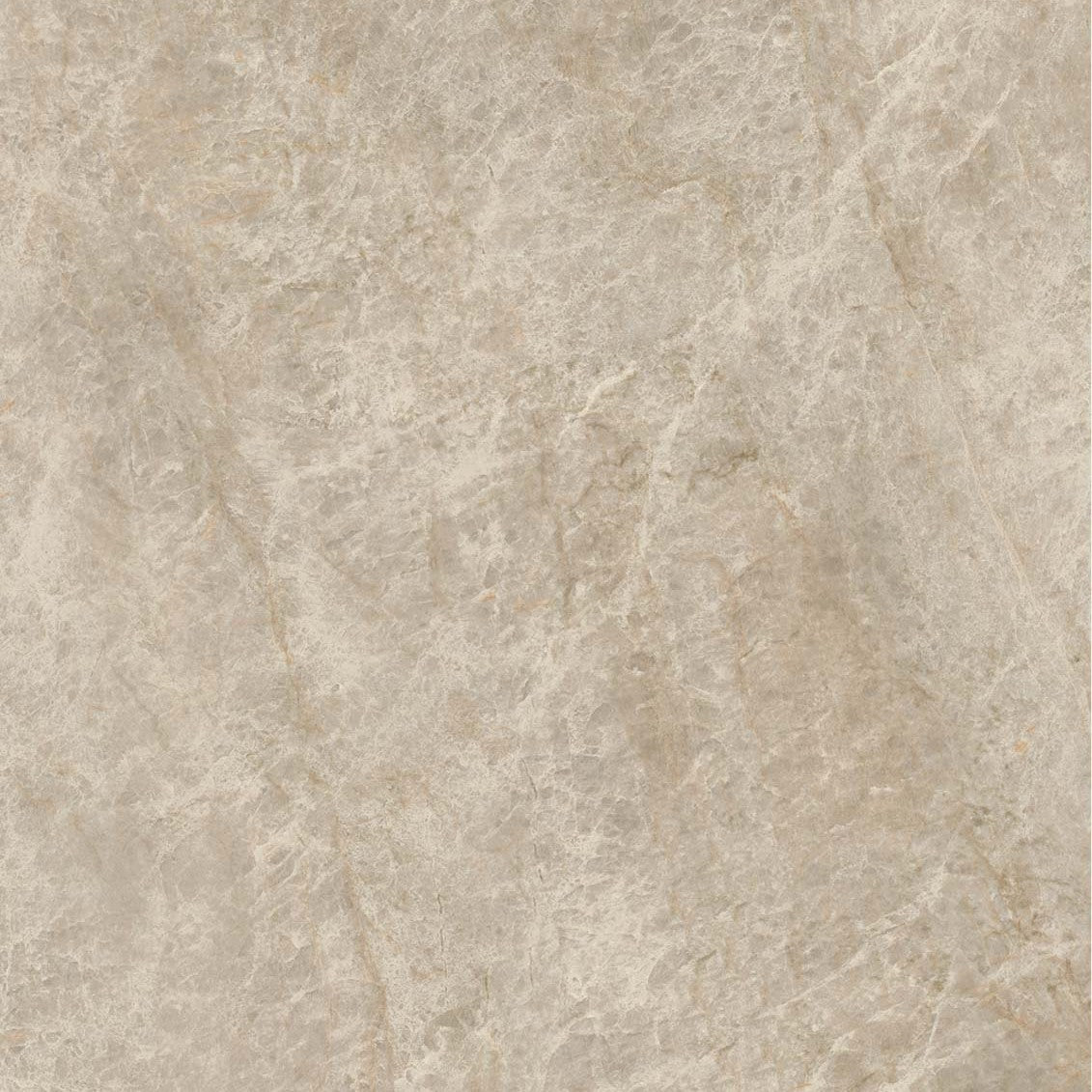 50-TM Marble Look Tiles