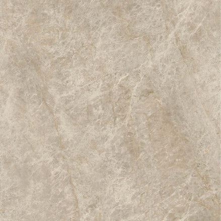 50-TM Marble Look Tiles