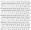 17-PE Penny Mosaic*